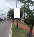 Ponto nº 300NO